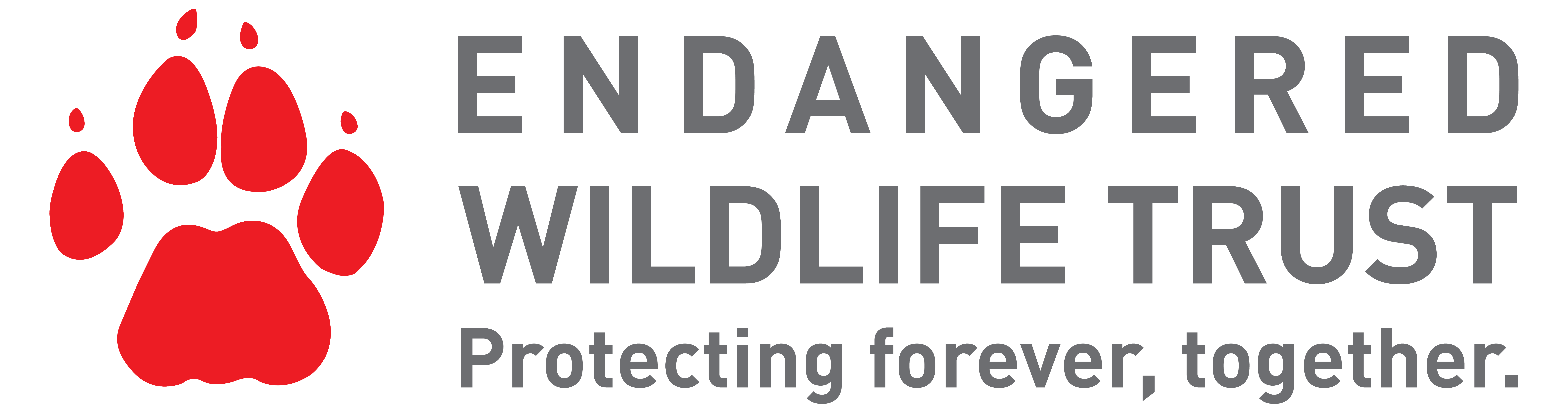 uncategorised-archives-endangered-wildlife-trust-shop