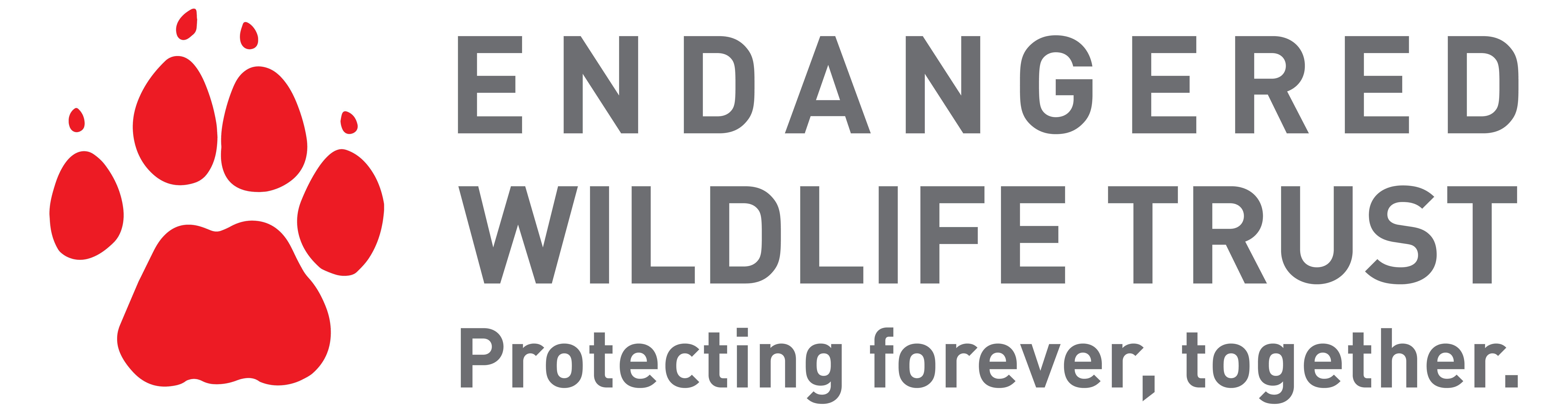 Uncategorised Archives Endangered Wildlife Trust Shop